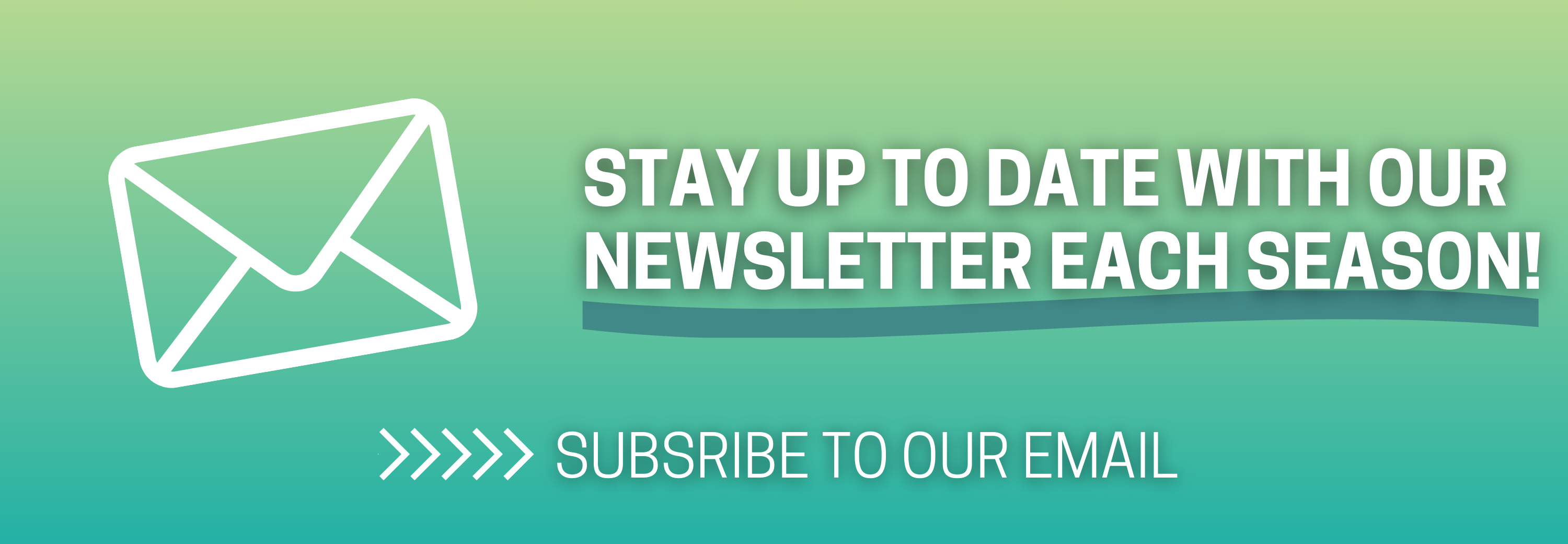 Subscribe to Email / Newsletter (updated 2025)